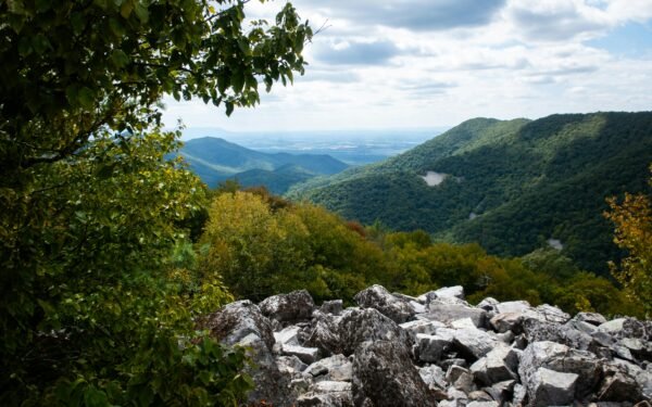 skyline drive shenandoah